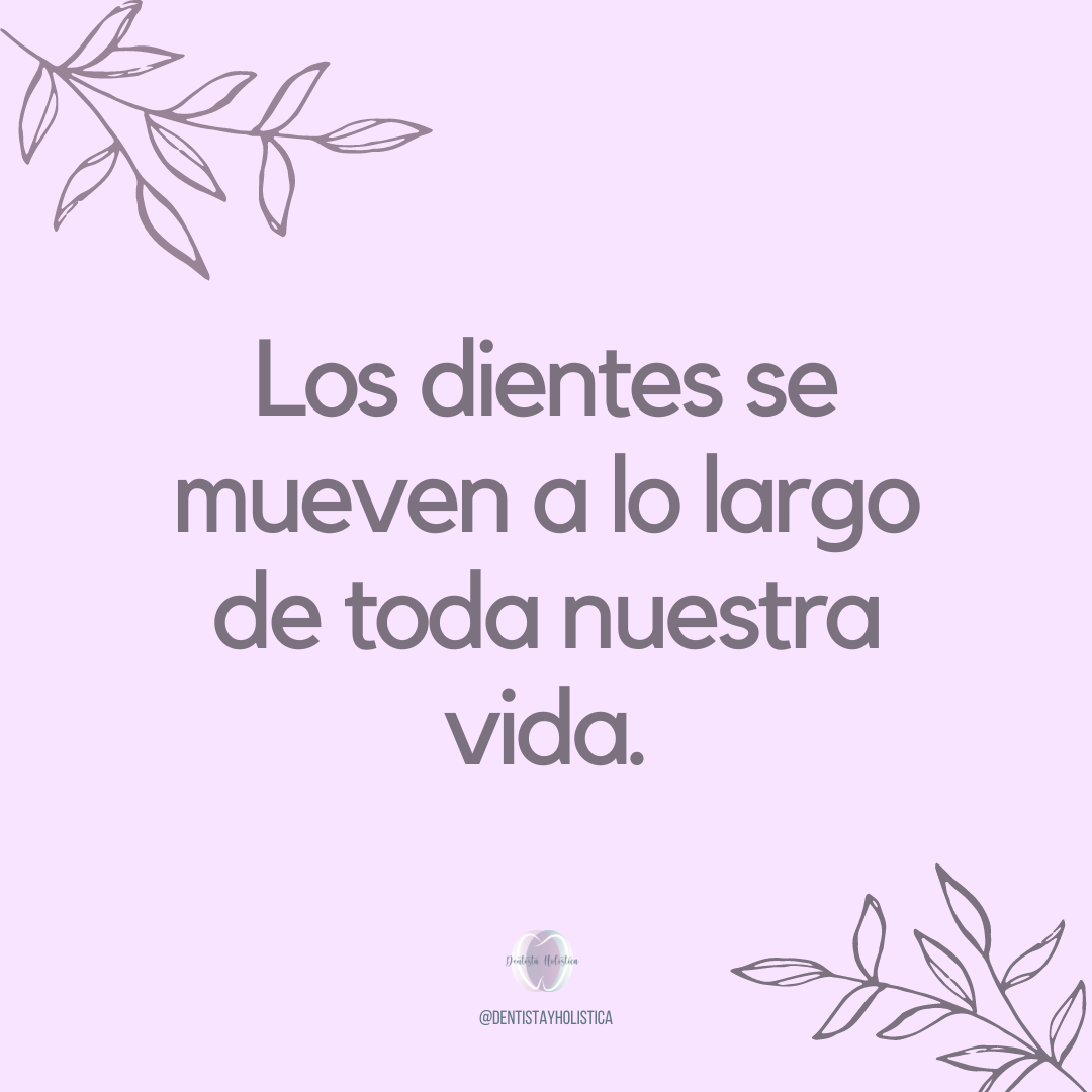 Los dientes se nos mueven a lo largo de toda nuestra vida.